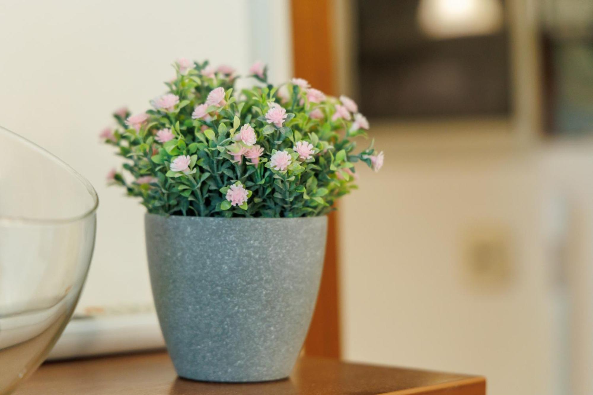 Appartement Cozy Nika Split